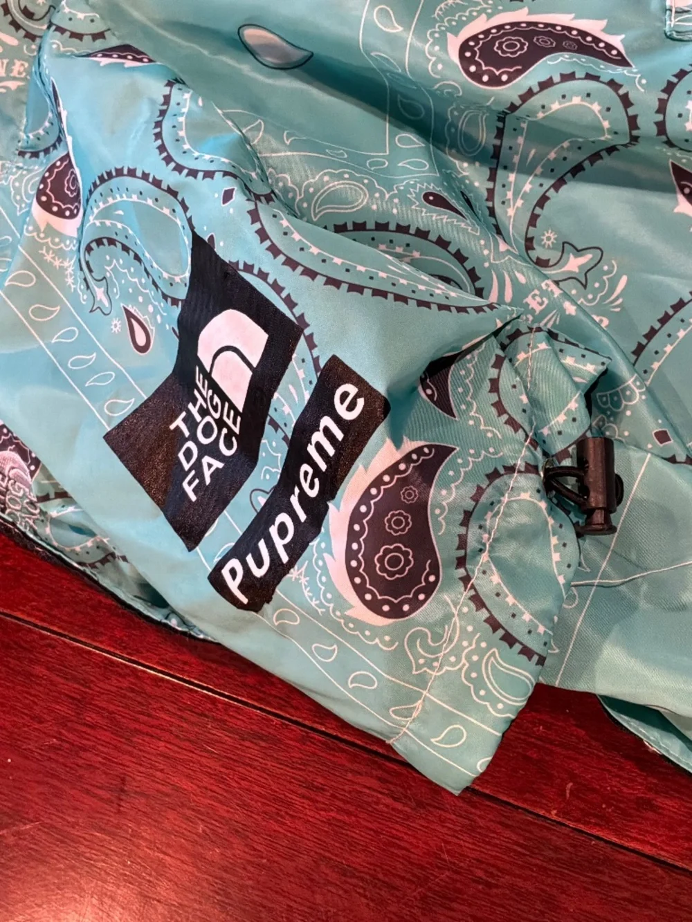 The Dog Face Light Rain Coat Paisley Pattern Teal with Hood and Velcro Closure